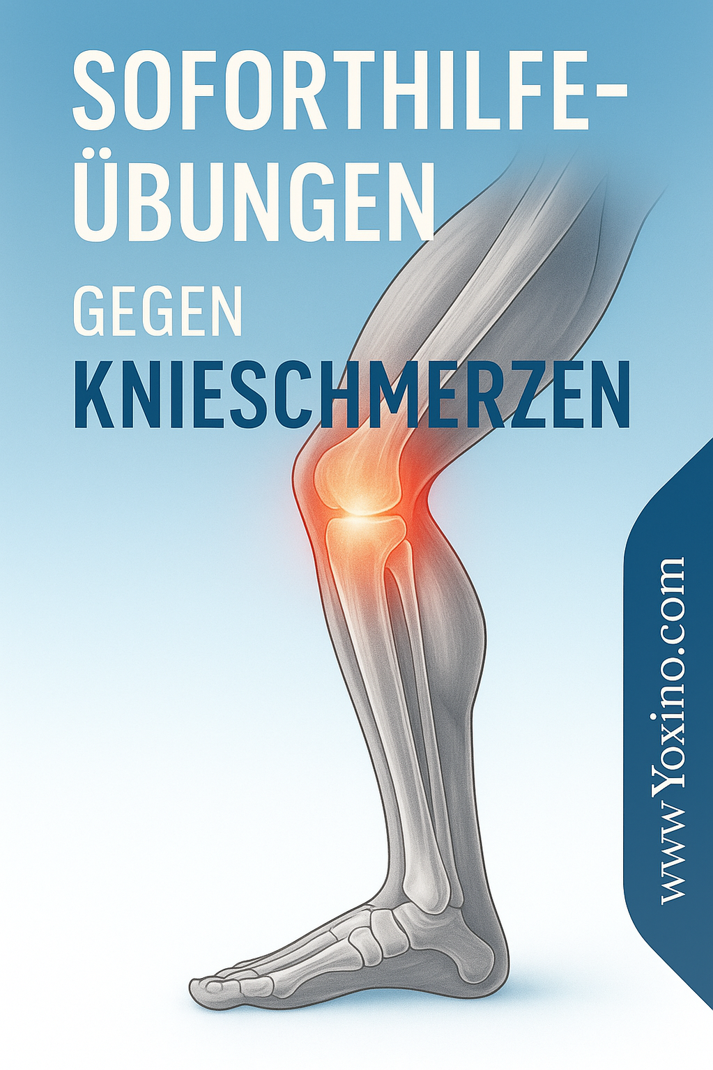 Knieschmerzen natürlich lindern